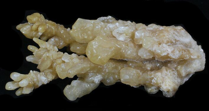 Bargain Caramel Calcite Cluster - Acid Damaged #33743